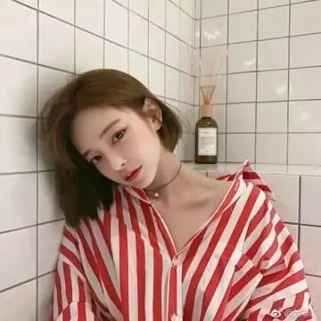 我的纯洁土地